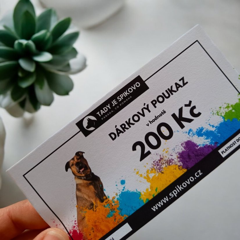 DÁRKOVÝ POUKAZ - Hodnota poukazu: 1500 Kč