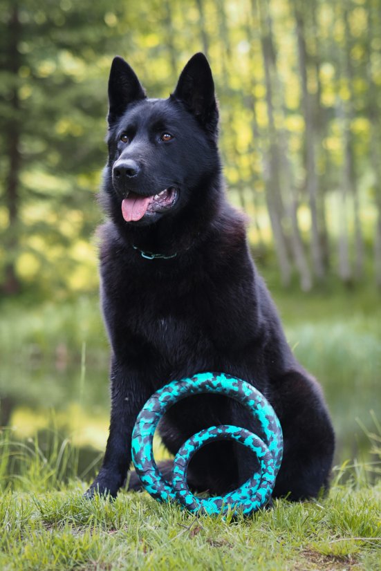 Plovoucí kruh FOAM RING - Barva kruhu: Cyan-black camo, Velikost: Velký (29 cm)