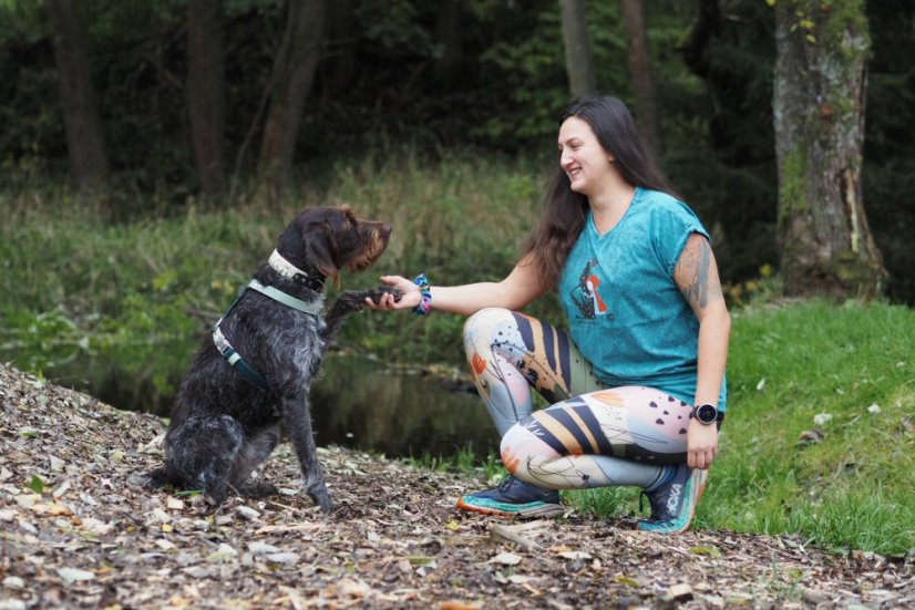 Tričko ACID WASHED Dogs & wine