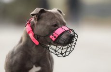 CANIS BULL SBT POCHROMOVANÝ modifikovaný košík